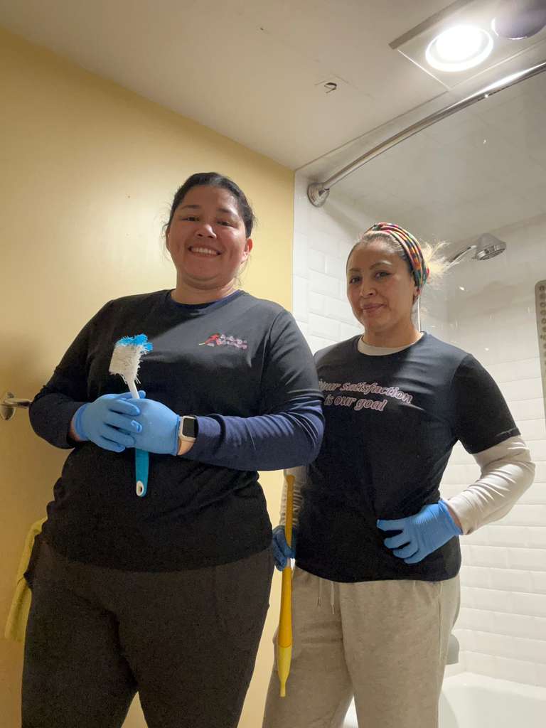 Cleaning Projects